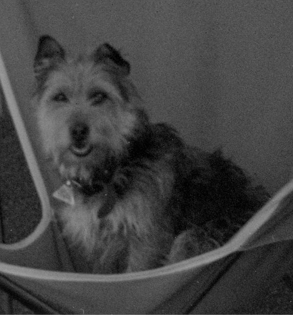 album Kodak Verichrome Pan 620 - South Australia